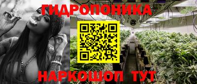 экстази Боровичи