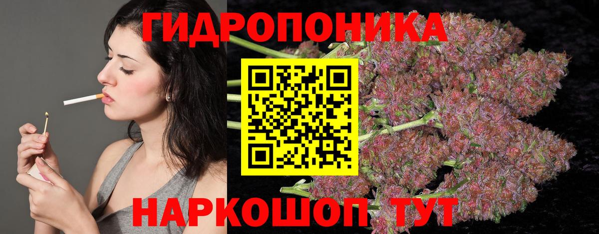 Шишки марихуана THC 21% Котовск